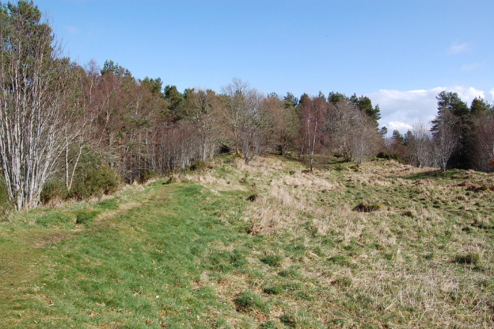 A wide view of Craigphadrig Fort, which has a line of trees behind the site. 
