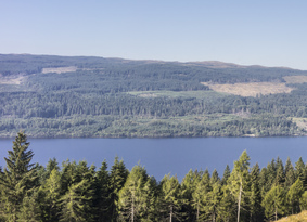 View over tree tops towards a loch