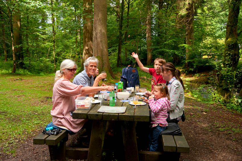 Family members of all ages gathered around a picnic table with food and drinks, in a forest clearing