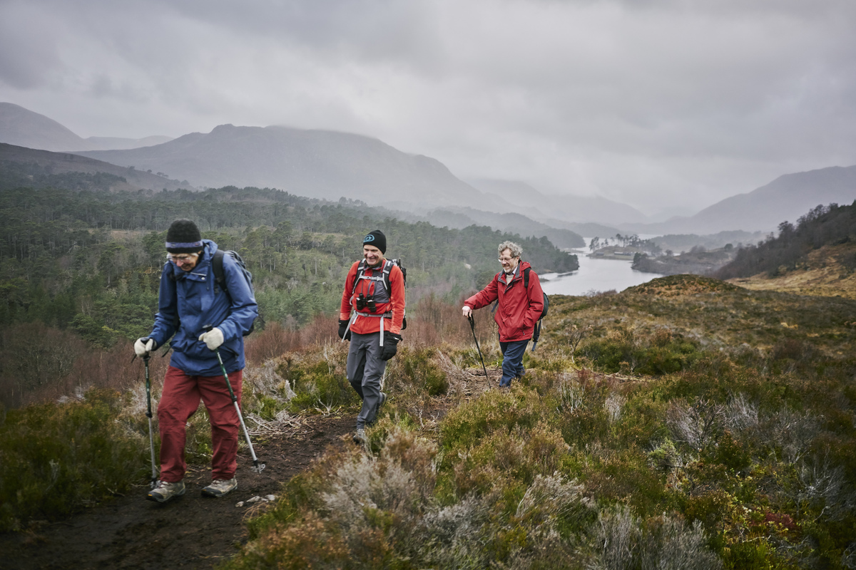 A woman and two men walking towards camera; wide panorama of a heather clad glen behind them