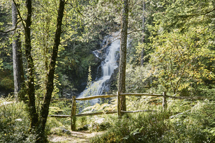 View along a woodland path towards a tall waterfall
