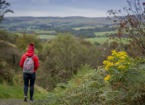 Person walking away from camera along a hilltop woodland path