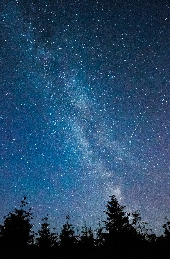 Starry night sky over Laiken forest