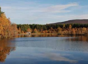 Autumnal trees around a large loch