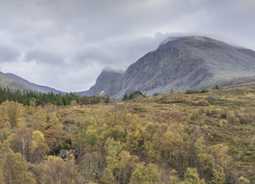 View across the tops of autumnal trees towards an imposing Ben Nevis