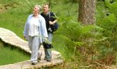 A couple walking along a boardwalk passed trees and ferns