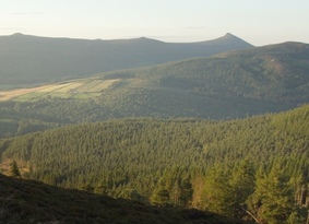 Panorama of vast, forested hillsides
