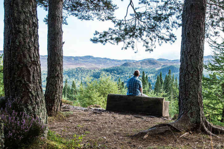 Man sitting on a bench amongst trees, looing out towards forest covered hills