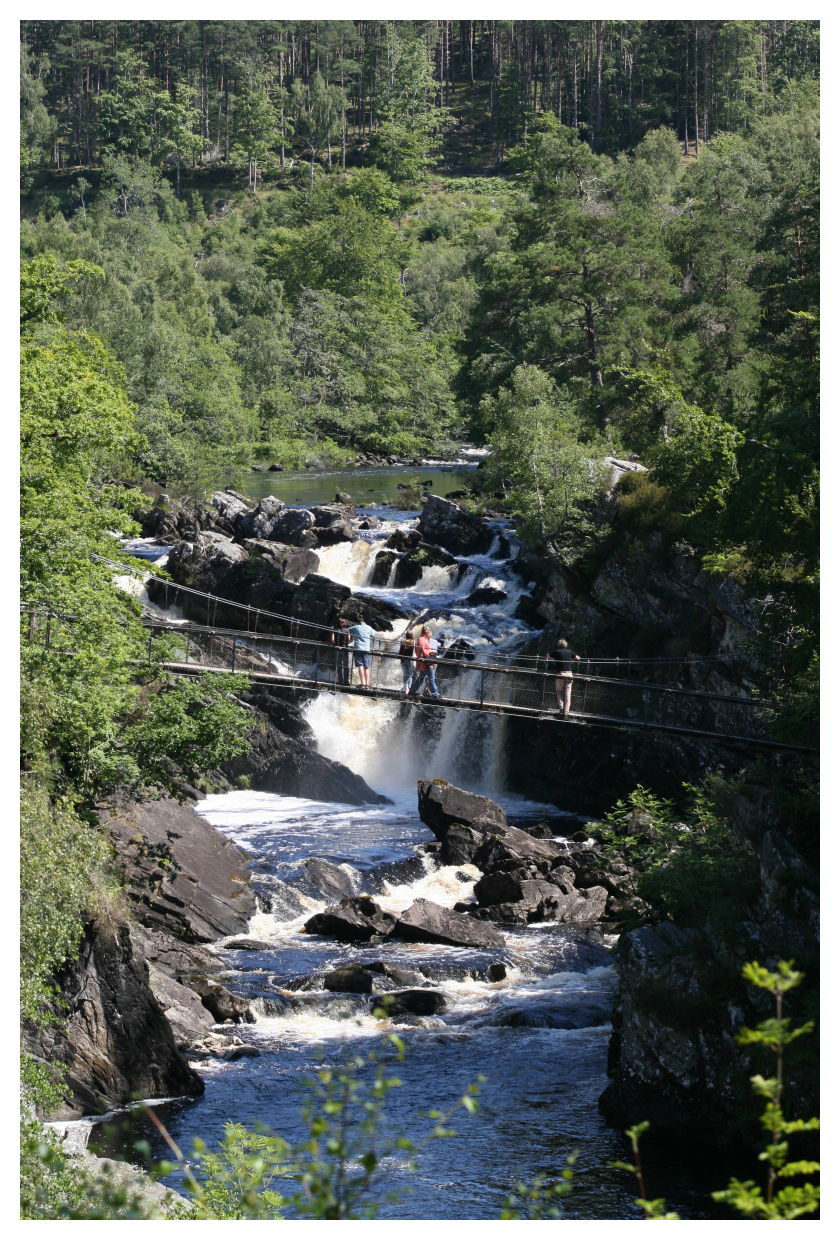 People walking over the rope bridge at Rogie Falls, with the falls roaring in the background. 