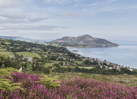 A heathery hilltop overlooking a bay with a large hilly island in it