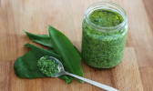 wild garlic pesto and leaves on table