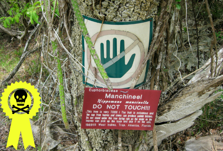 Close up of tree trunk with sign attached saying the tree is toxic and should not be touched