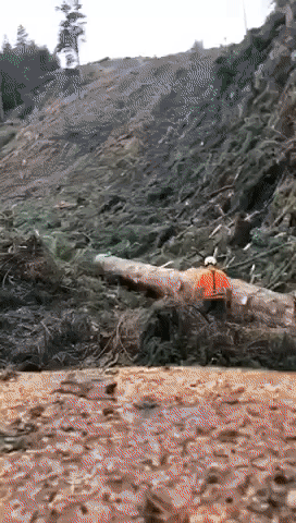 A timelapse video of felled trees being extracted up a steep hillside by cable crane at Wades Bridge in Wester Ross