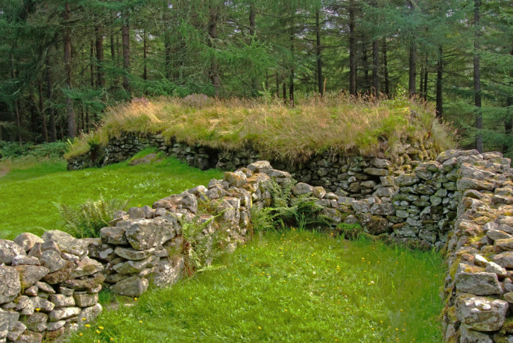 remains of pictish settlement in forest