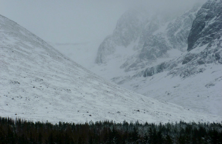 Mountainous landscape covered in snow, with green tree line in bottom of image