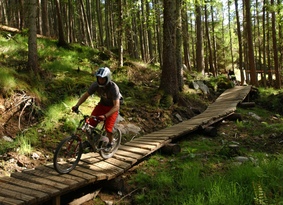 Cyclist riding along a wooden boardwalk path in a forest