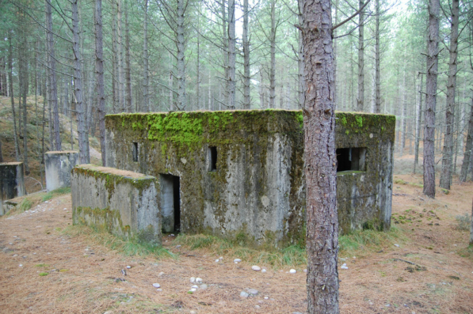 A now moss covered World War Two bunker.