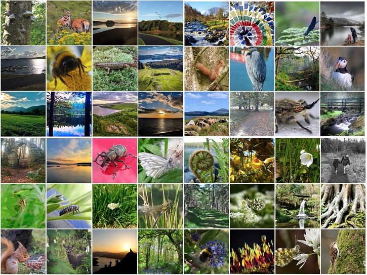 Compilation image showing around 30 separate images of the outdoors