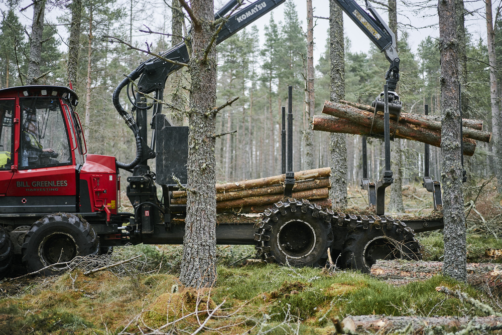 Forest forwarder moving felled logs from deep in the forest