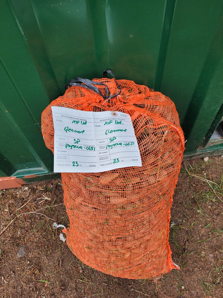 Bag of pine cones in an orange sack.