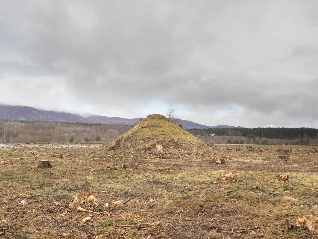 A large mound in the middle of a clearing.
