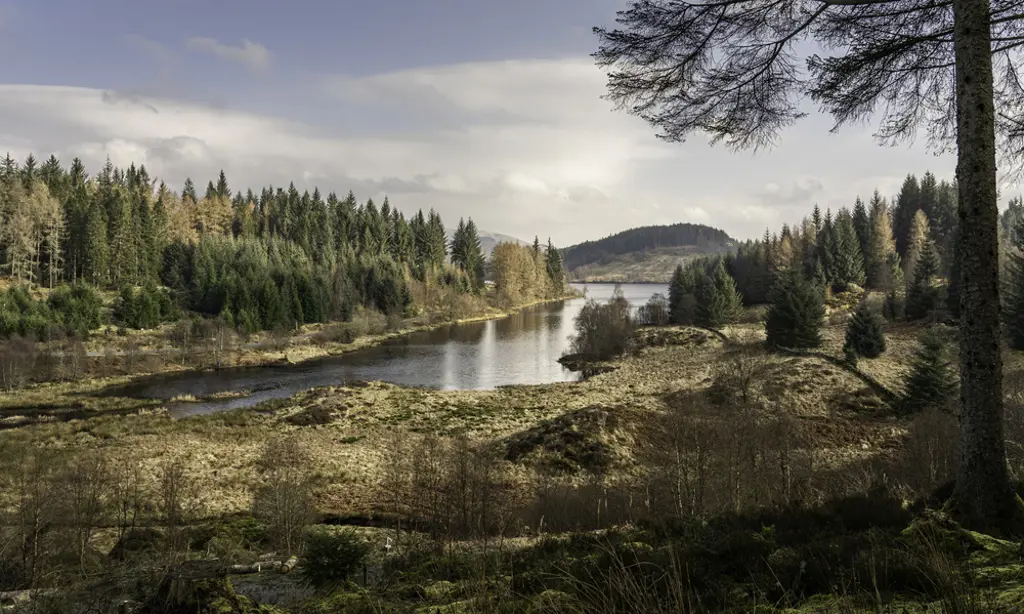 A viewpoint over a loch with hills in the back.