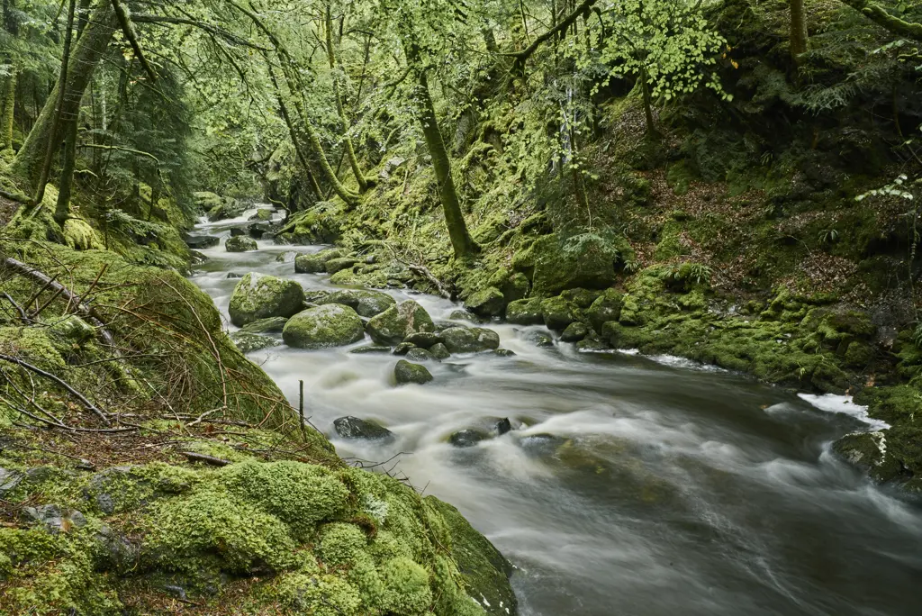 Water courses along river over boulders flanked by moss covered rocks and trees, Sutherland's Grove, Barcaldine