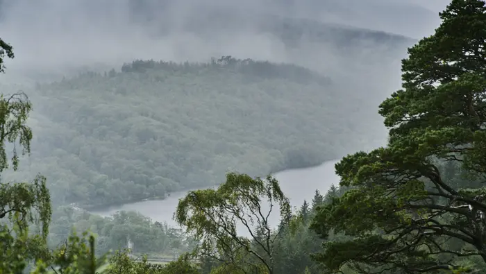  View in the mist from high hill of wooded hills and Loch Arkaig, near Fort William
