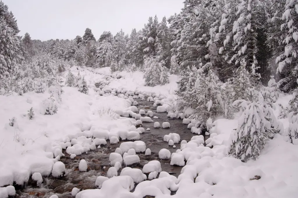 River with snow covered rocks and trees.