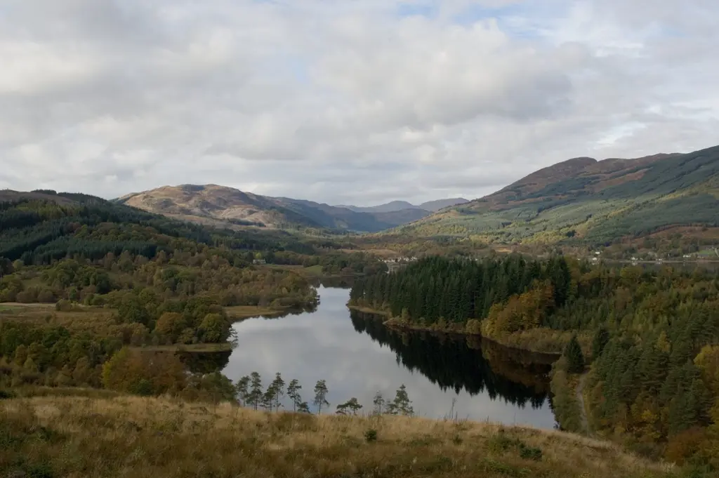 A forest with a large loch and hills.