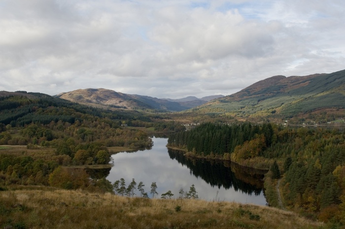 a forest with a large loch and hills