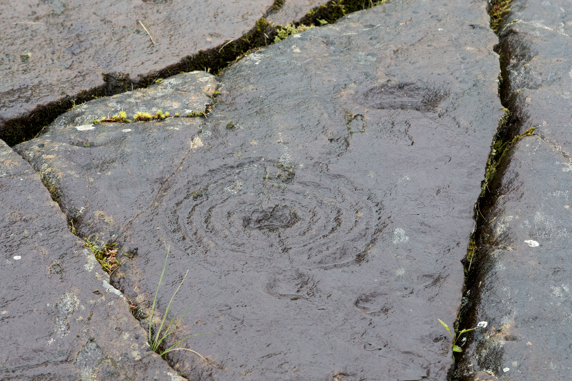  Prehistoric rock art, Achnabreac