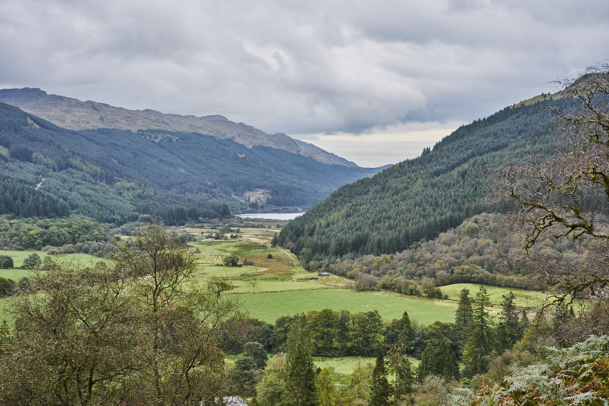 Views of forested hills around Glenbranter Forest, near Cairndow