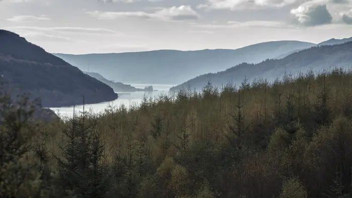View over tree tops to long and narrow loch with steeply sided and wooded shores.