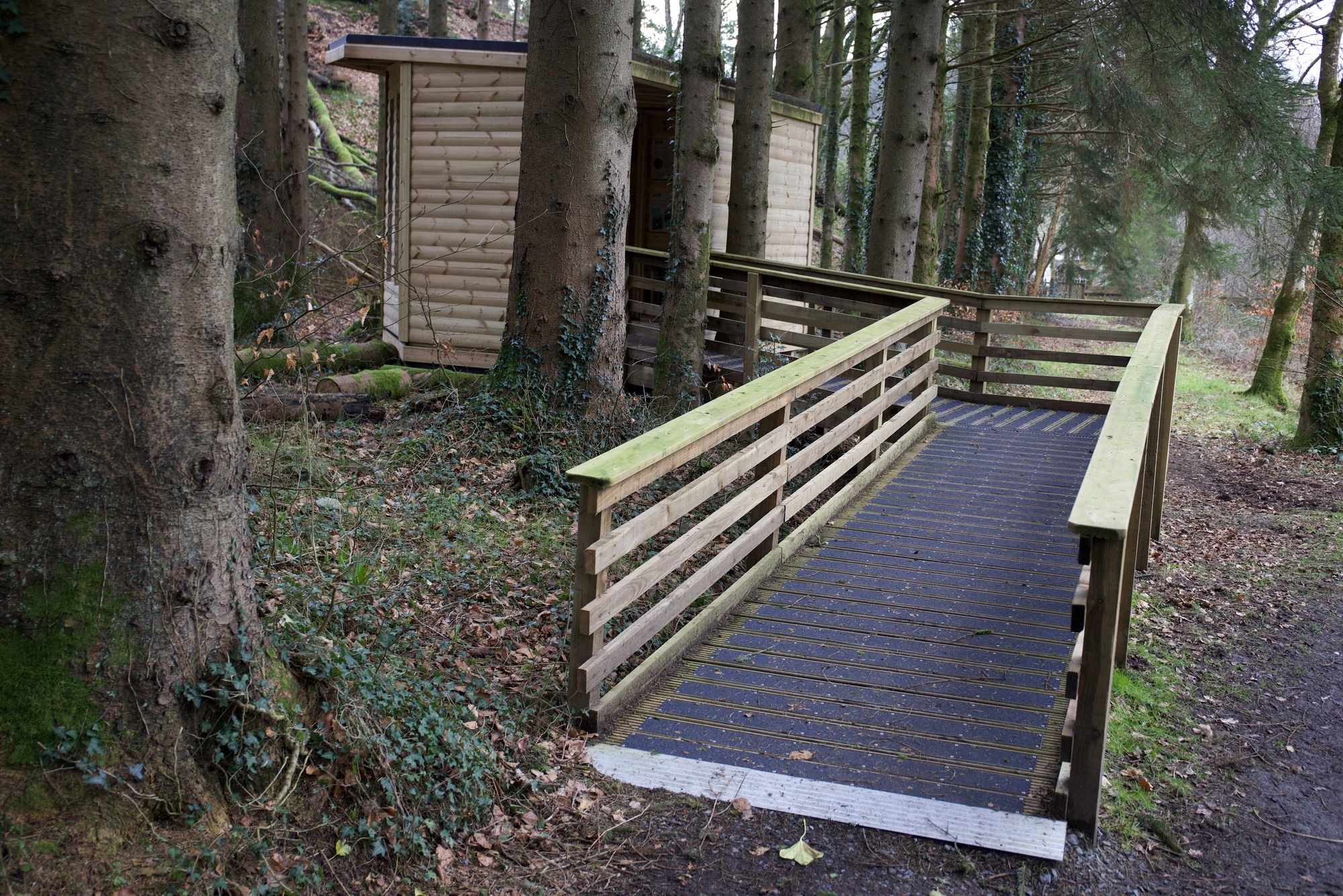 A wheelchair accessible ramp going towards a wildlife hide