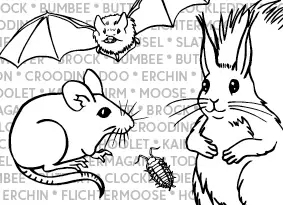 illustrated red squirrel, mouse, woodlouse and bat on background of mixed scots words