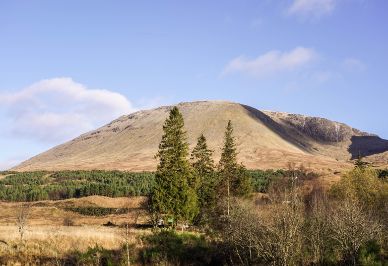 A rocky mountain with a forest at the base