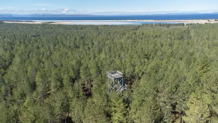 A wooden tower in the middle of a forest overlooking the sea