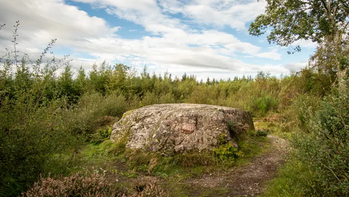 Large stone surrounded by woodland.