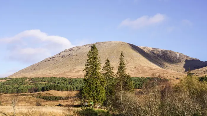 A rocky mountain with trees in front of it