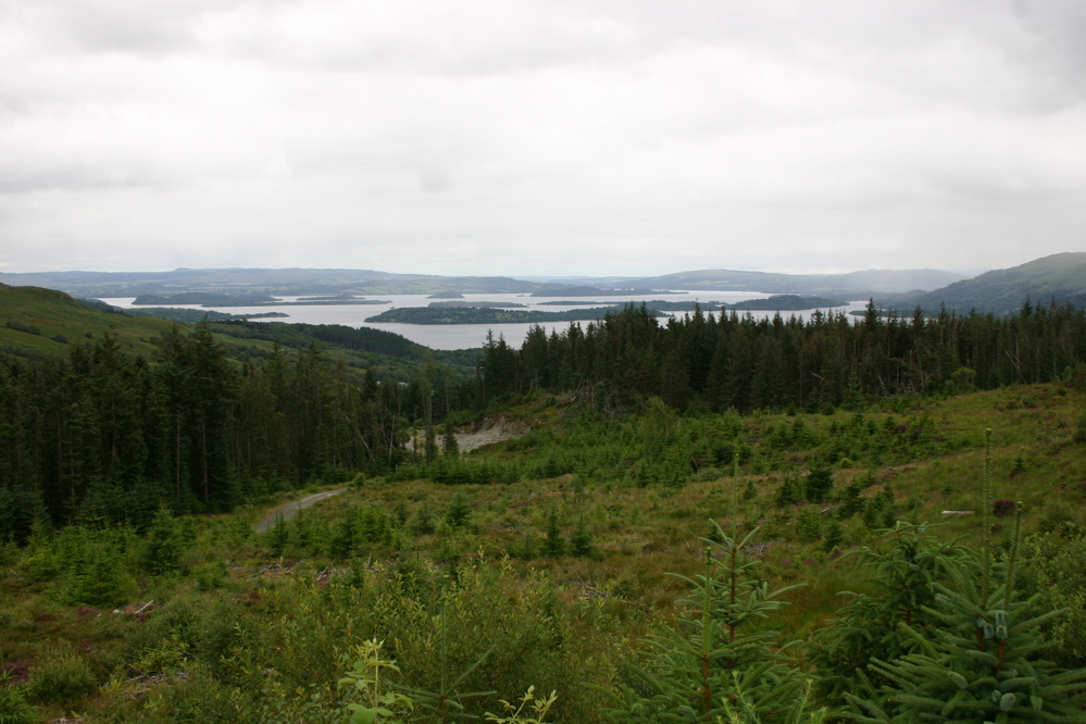 View over the forest and lakes area of the East Loch Lomond LMP site