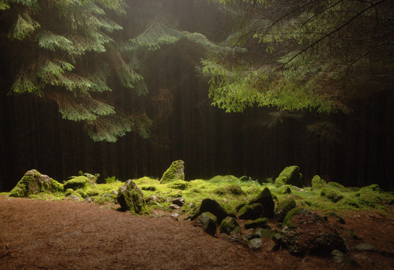 A moss covered stone circle in a dark woodland with light coming through the canopy