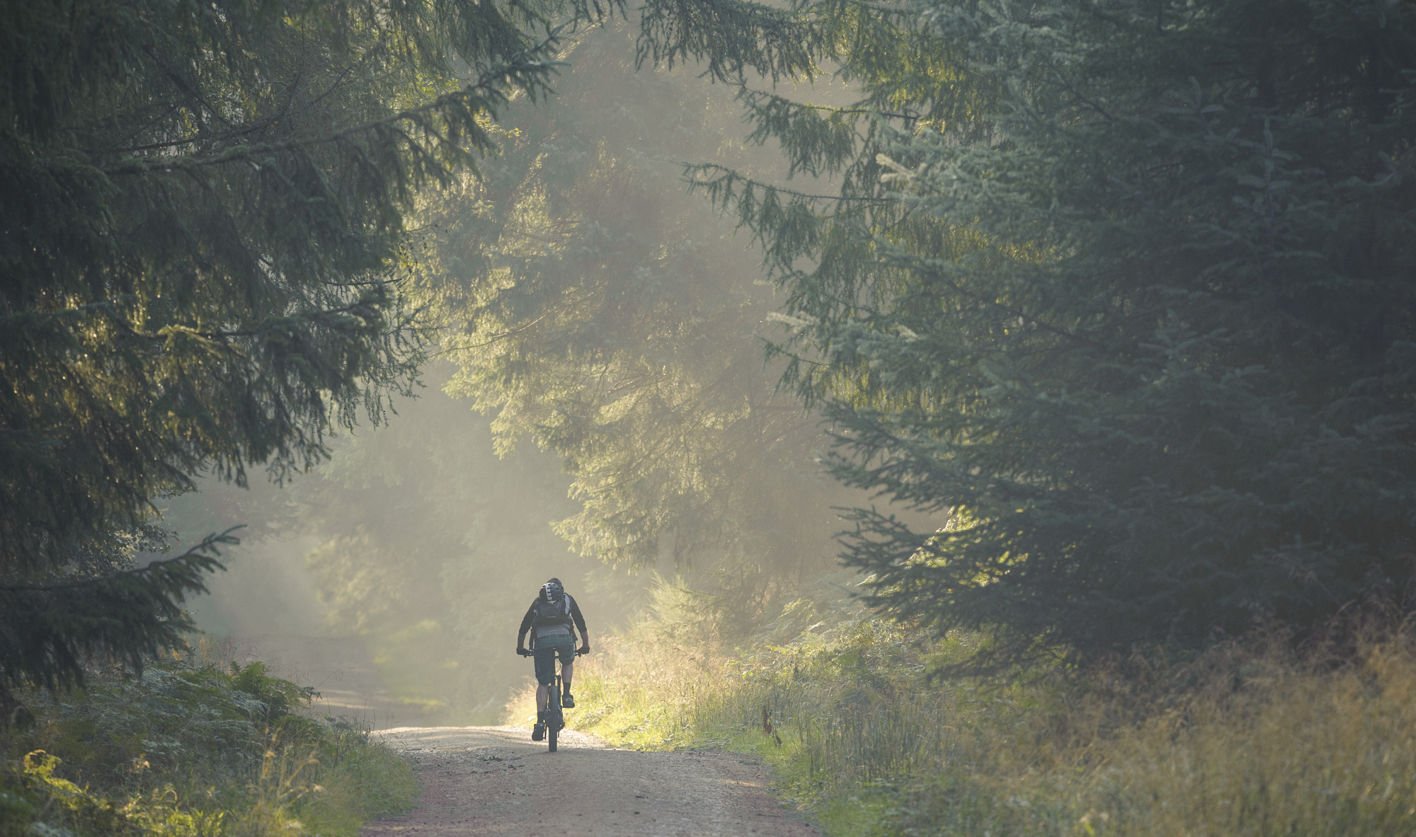 Man on mountain bike rides through mist on cycle path, Kirkhill, Aberdeenshire