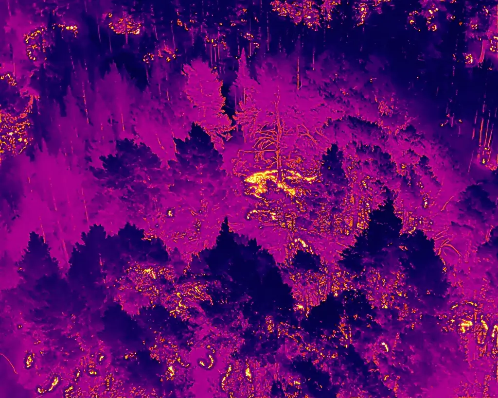 Thermal image showing the different colours and hot spots.