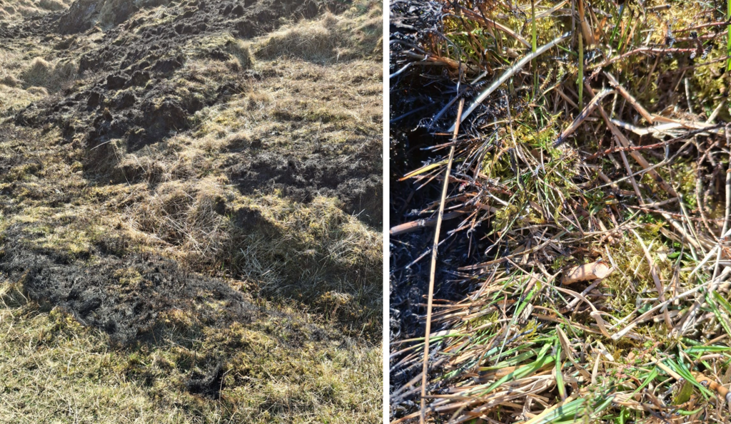 Two photos showing a grass fire possibly started by cigarette.