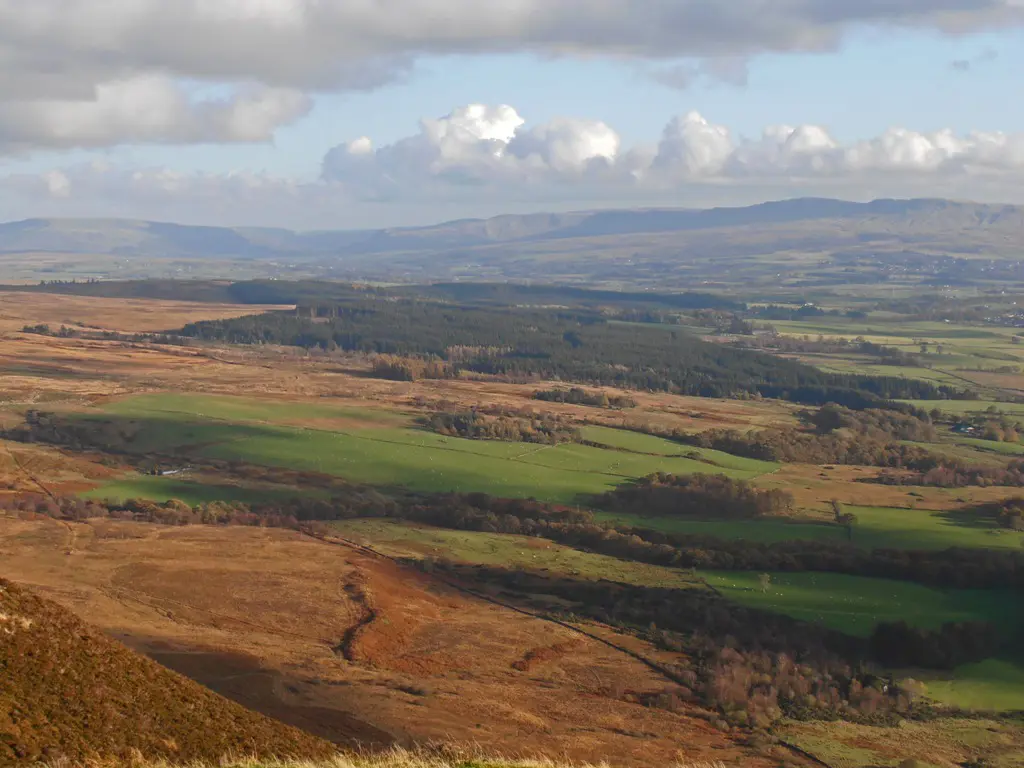 View from above of land with some forest cover and mountains in the distance