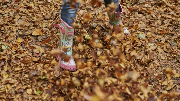 Wellies going through autumn leaves with leaves in the air.