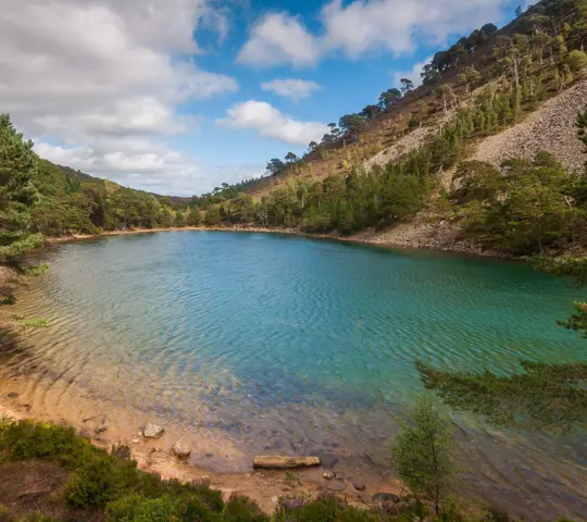 Lochan surrounded by trees and a steep slope.