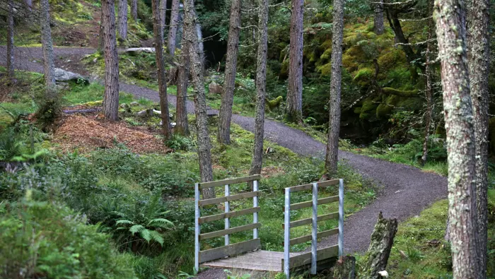 Curving path with a bridge over a burn.
