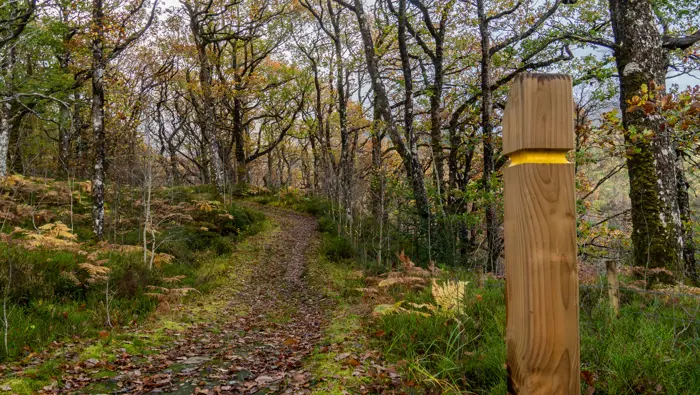 Strone Hill Stay the Night — responsible campervan stay